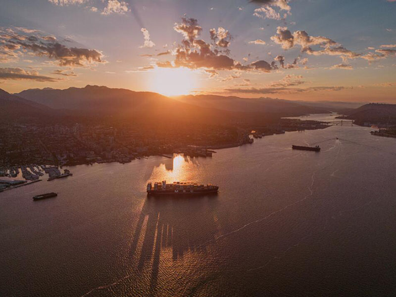 TOC分析仪工作原理