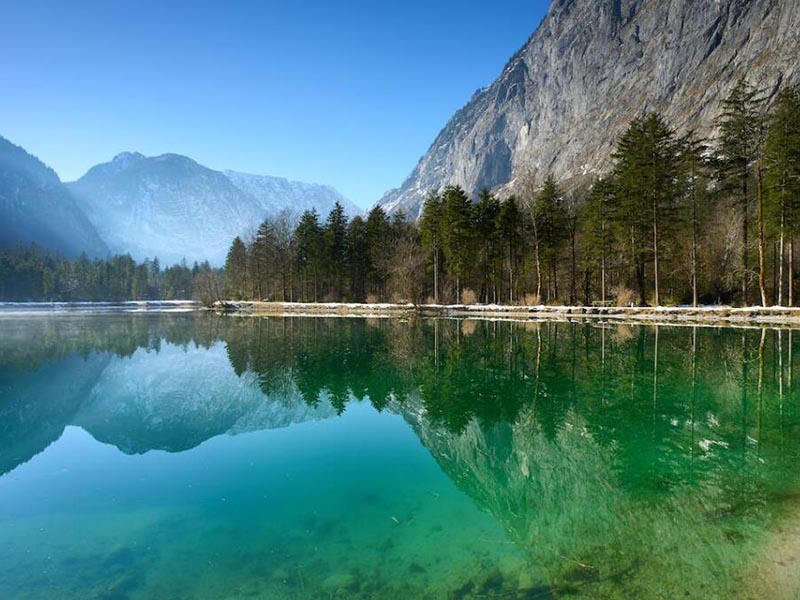 水生态系统中的藻类和水华是什么