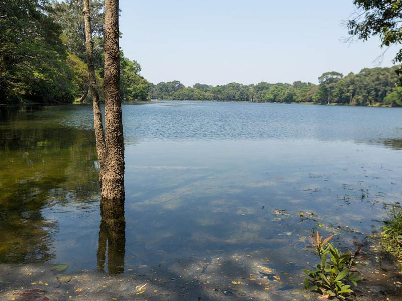 溶解氧检测仪测定原理及其优缺点