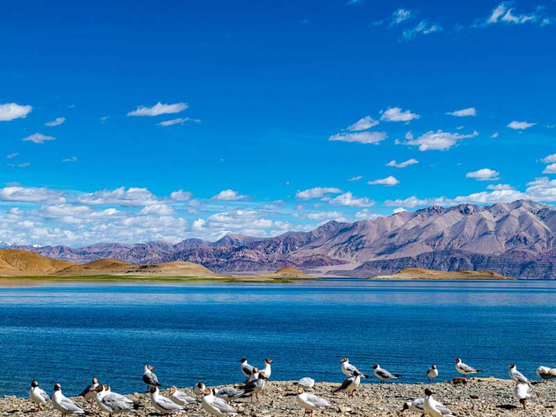 便携式总氮测定仪品牌型号怎么选择