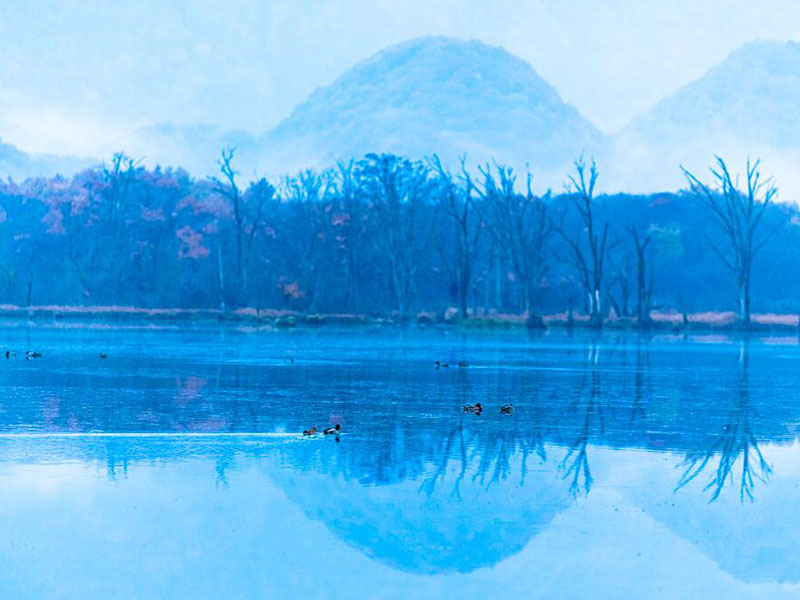 水质总有机碳分析仪的用途