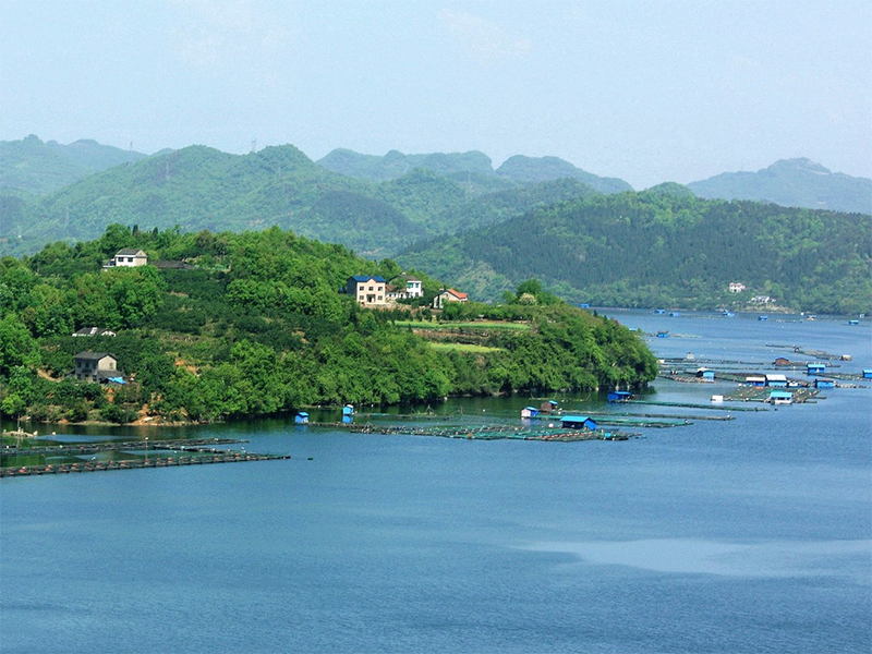 COD在线监测仪试剂更换周期