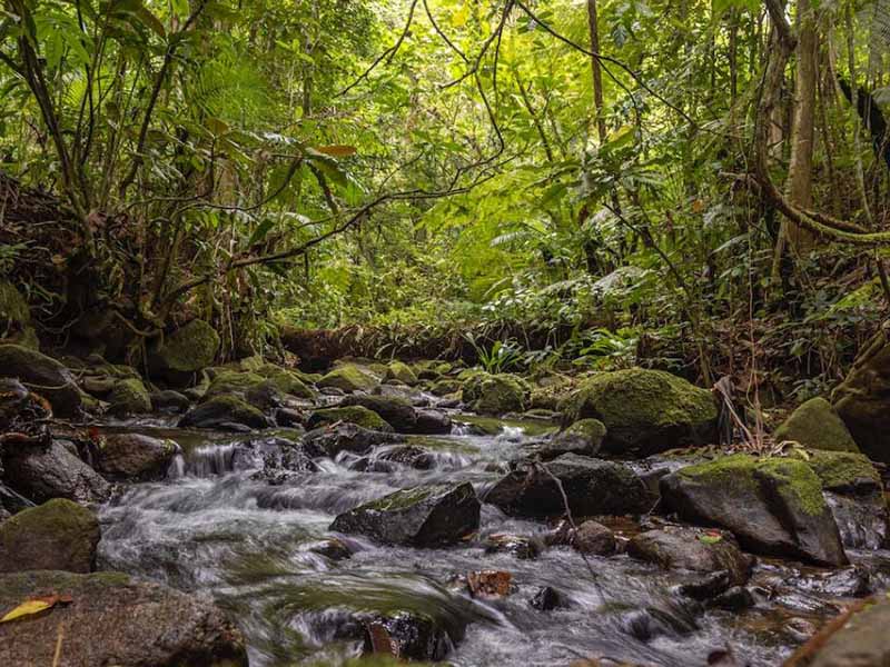 水质检测实验室废液应该如何处理