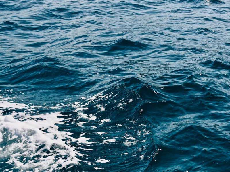 水产养殖溶解氧分析仪优势