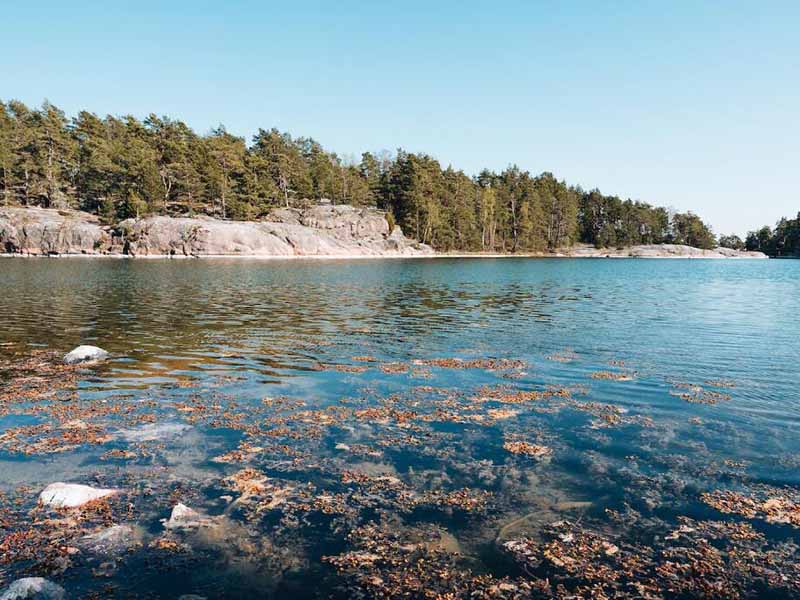 原子荧光法检测水中汞的步骤