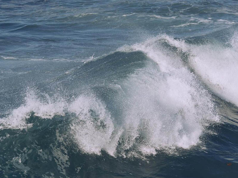 游泳池水质检测的重要指标