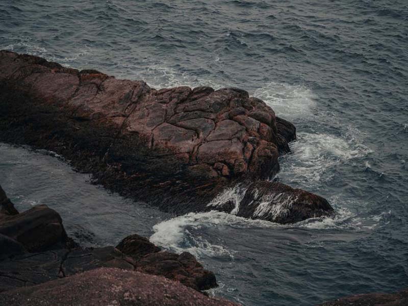 余氯在线分析仪工作原理