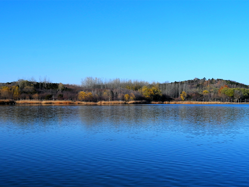 【汇总】自来水消毒方法及优缺点