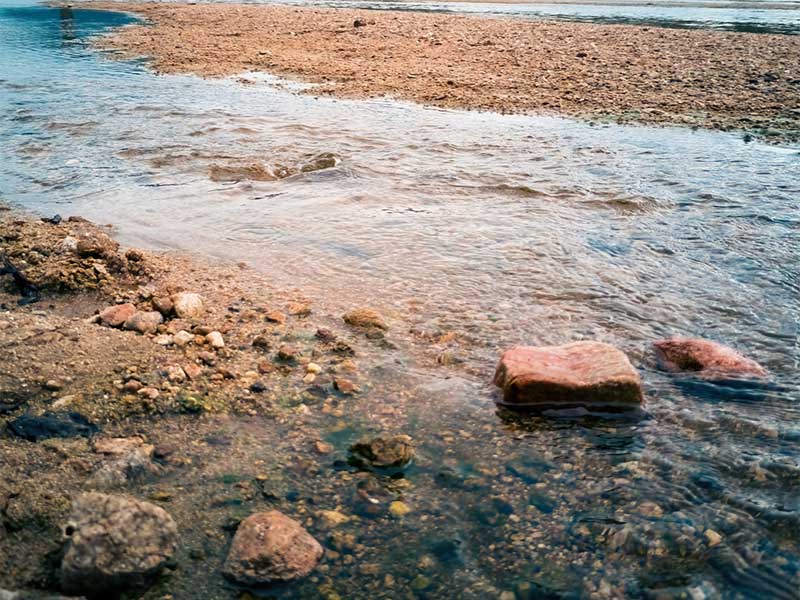 水源微生物污染与饮用水水质标准