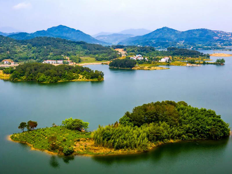 COD在线监测仪工作原理