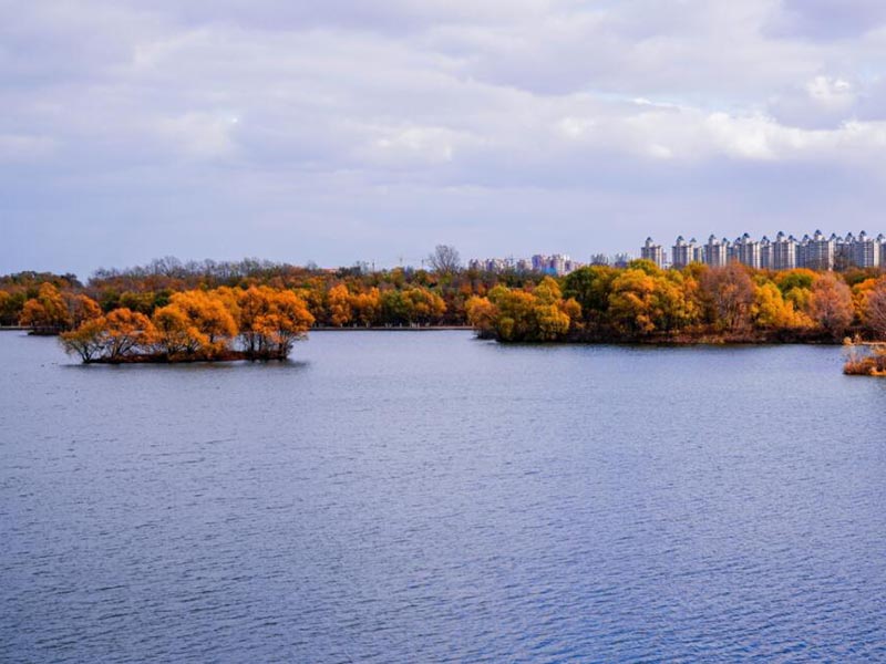 水质BOD排放标准