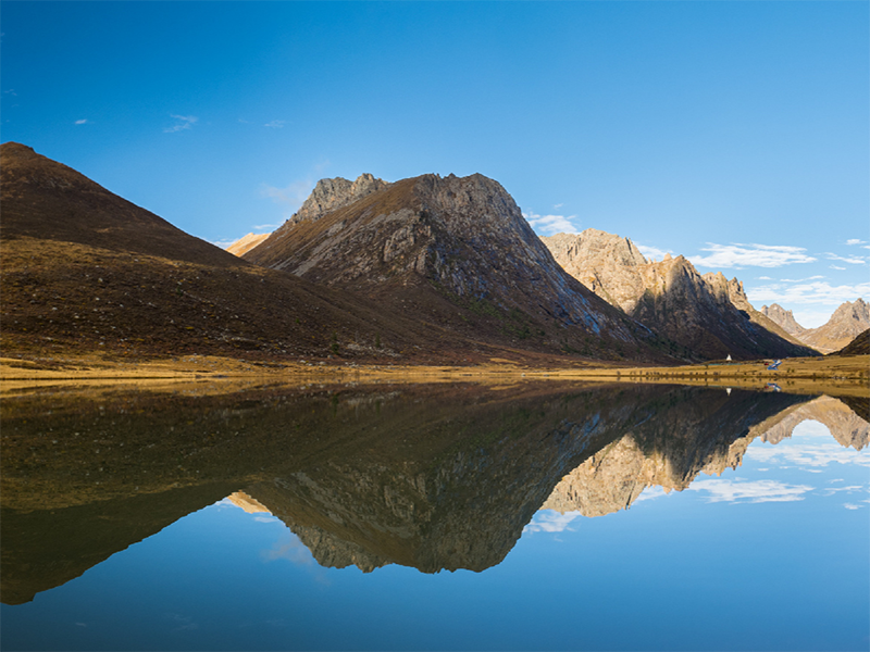 氨氮在线监测仪应用领域