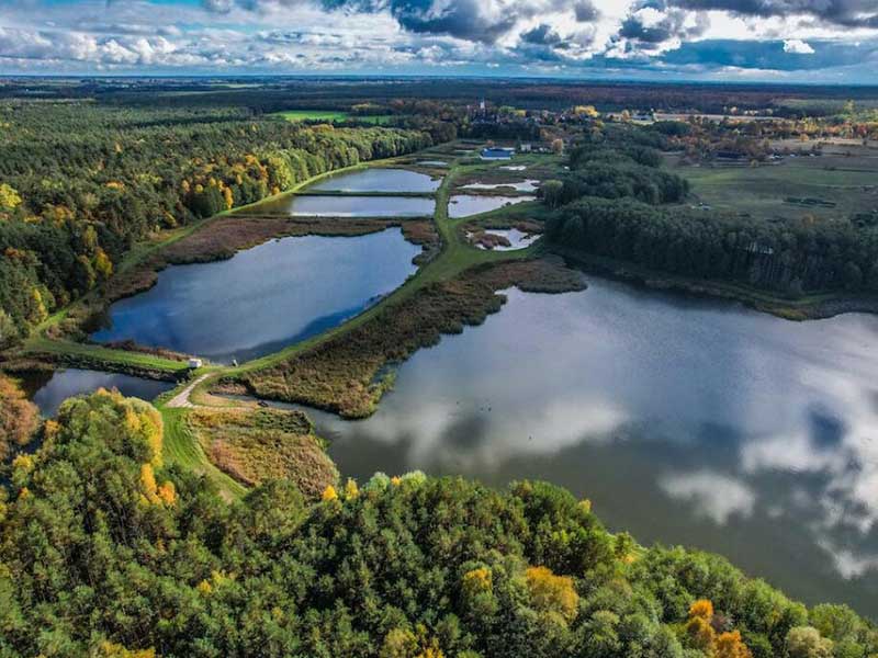 水质微生物指标及检测方法