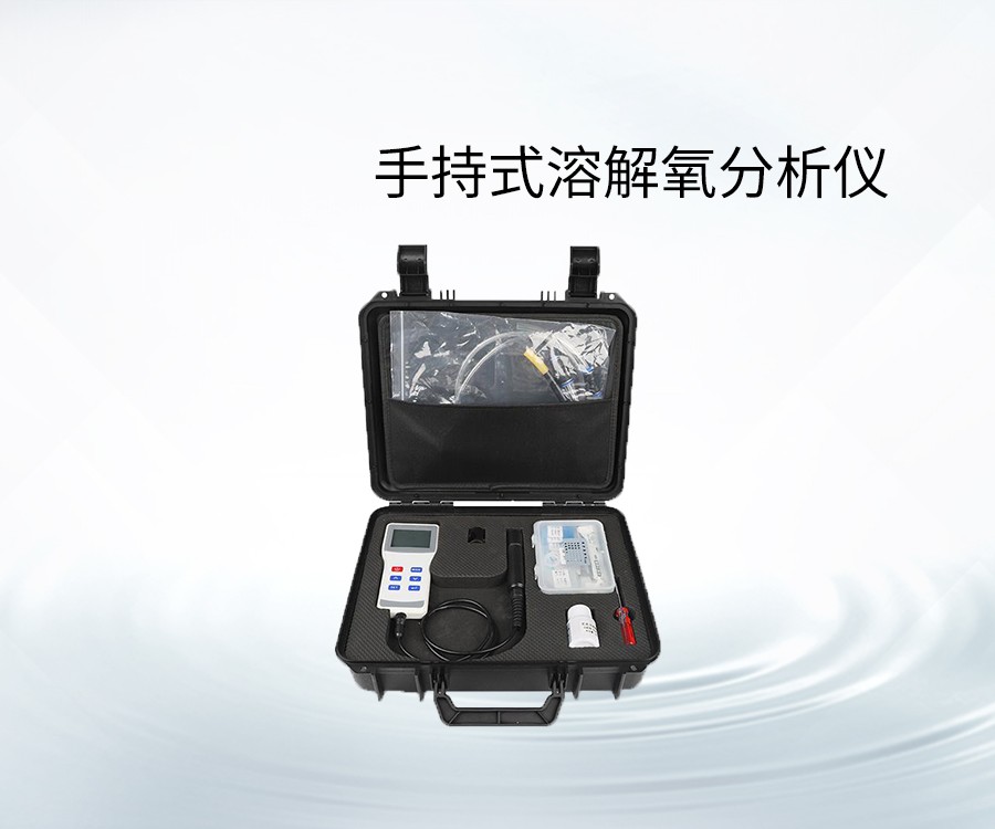 手持式溶解氧分析仪