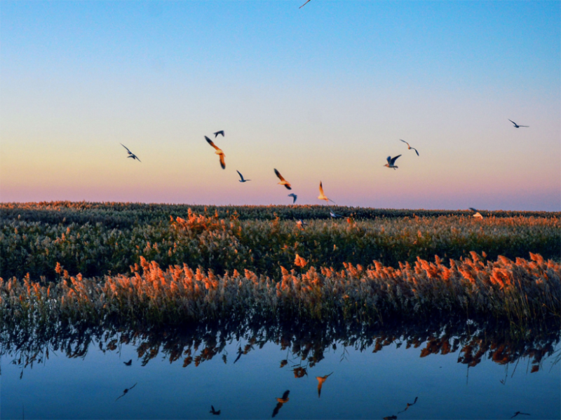 COD测定仪工作原理