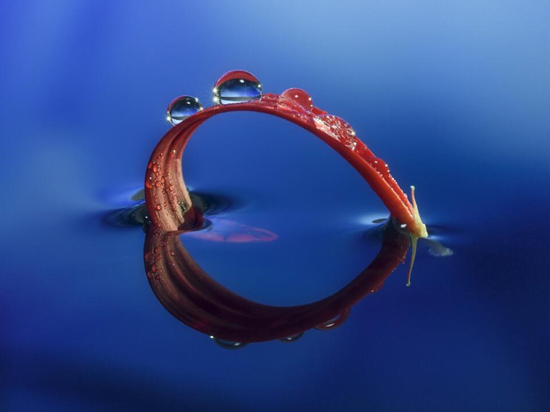 余氯、总氯、化合性氯的区别