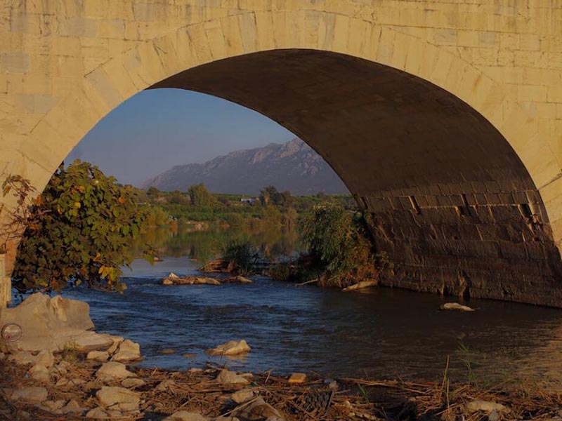 自来水厂污泥的种类与性质