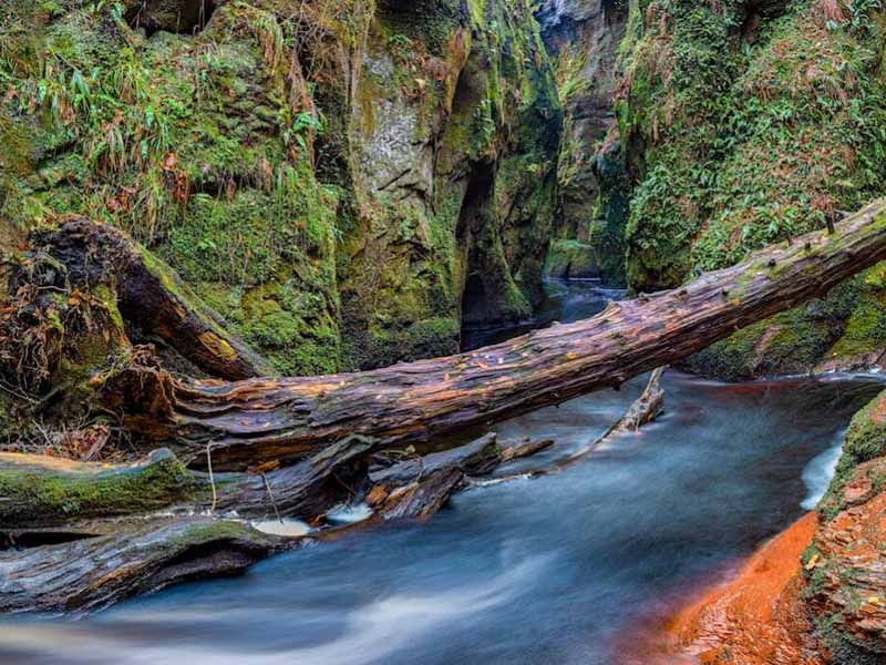 长江流域水生态系统健康评价指标