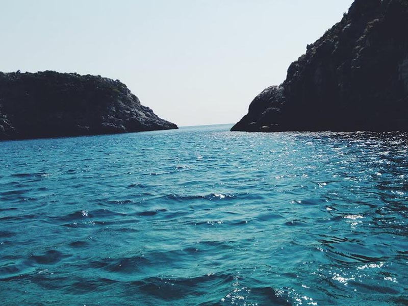 COD在线自动监测仪原理