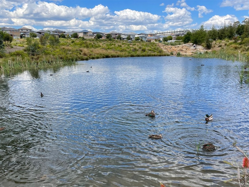 氨氮检测蒸馏过程如何操作