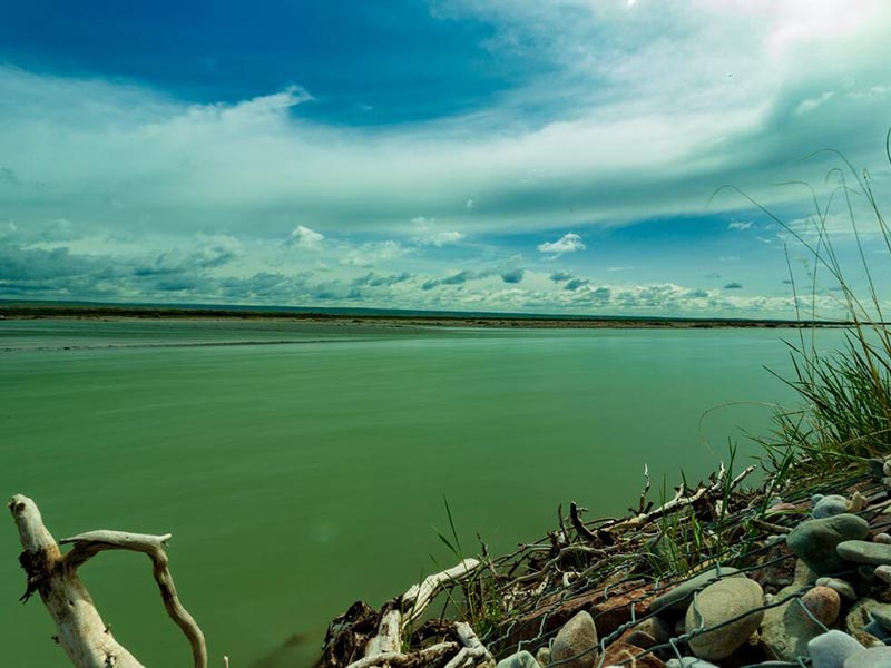 水体叶绿素a测定有什么意义