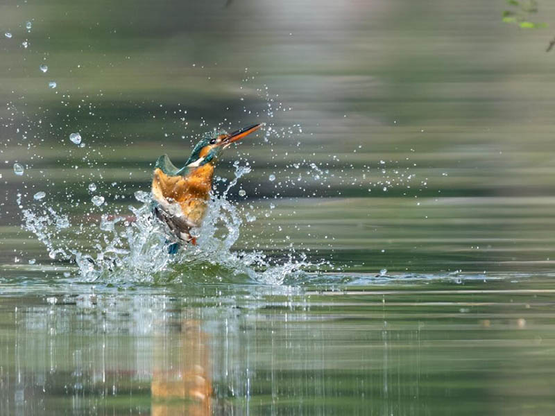 总氮测定仪正确测定步骤
