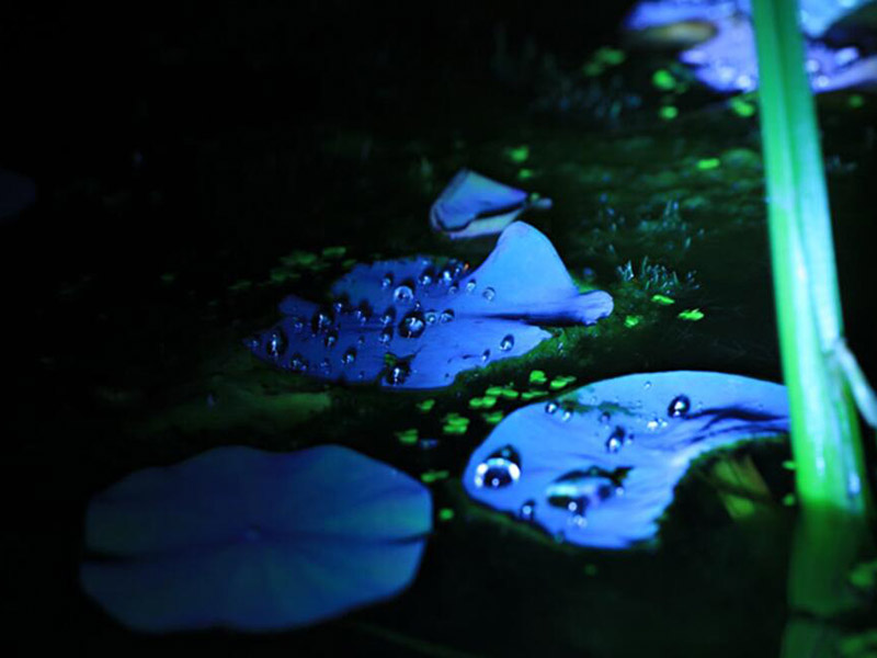 生活饮用水微生物指标有哪些