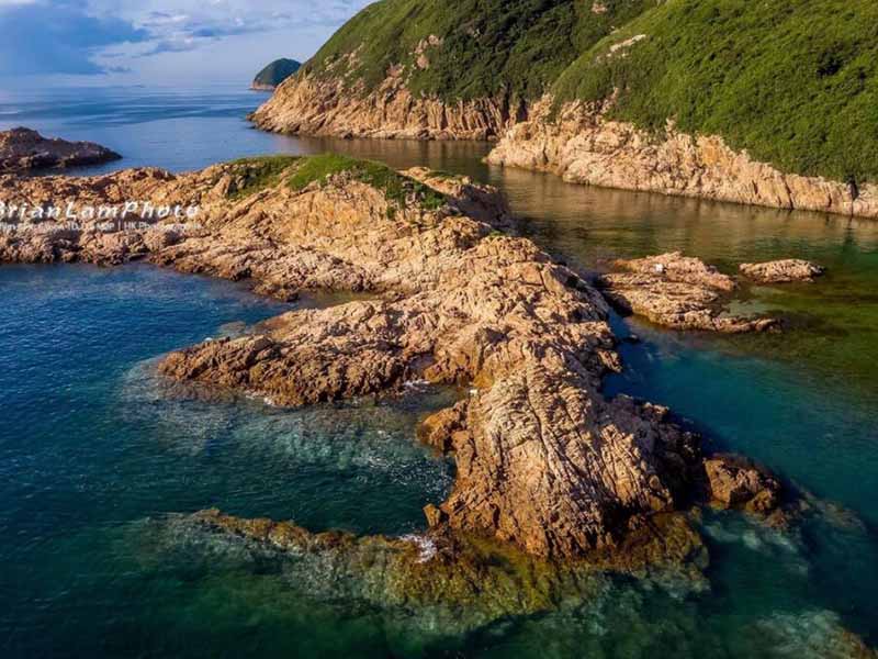 麦氏细菌浊度分析仪校准规范