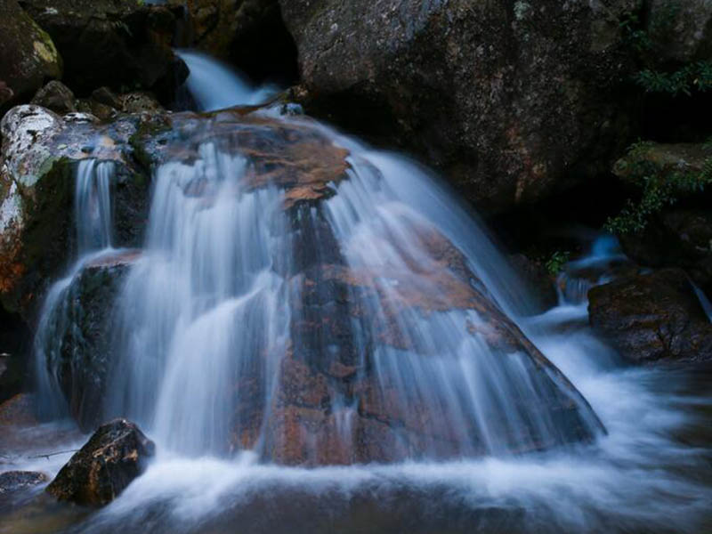 水中油污染现状及危害