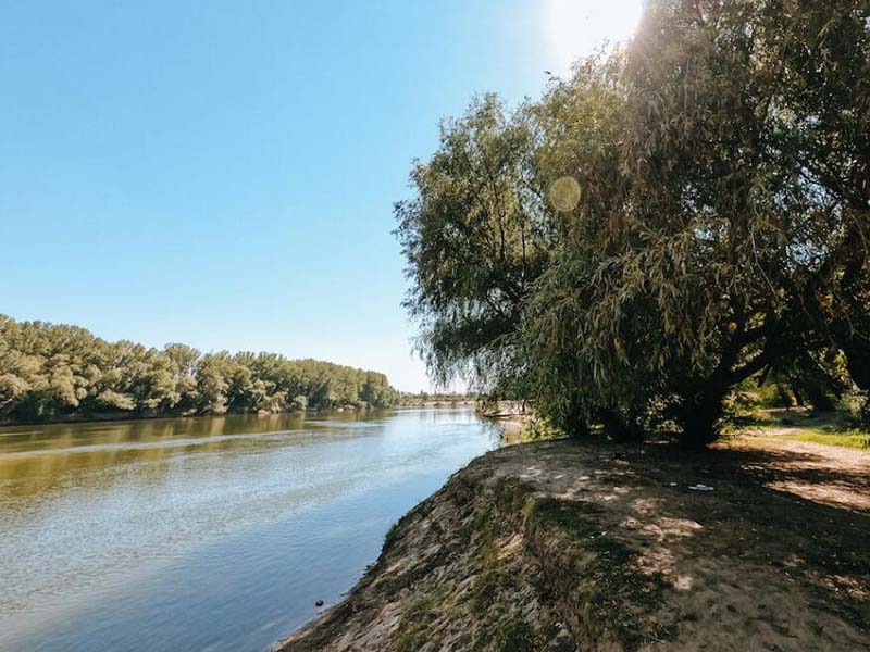 总氮检测仪使用常见问题