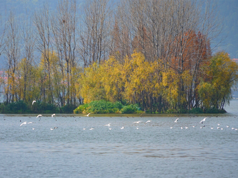 便携式多普勒流量计工作原理