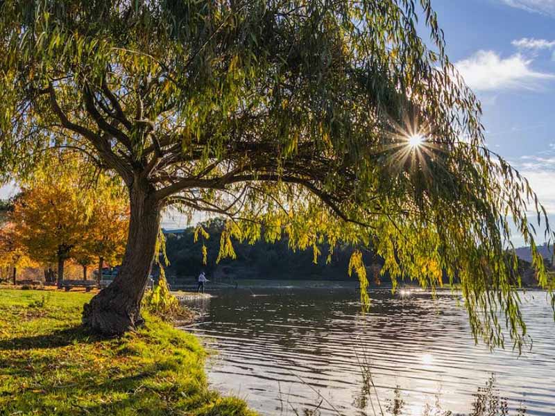 “三磷”与总磷污染有什么关系