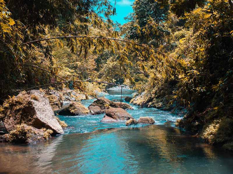 全自动凯氏定氮仪工作原理