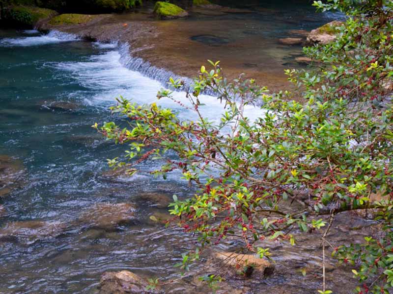 手持式COD检测仪使用方法