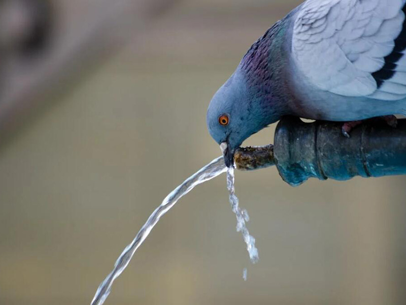 浊度在线分析仪使用方法