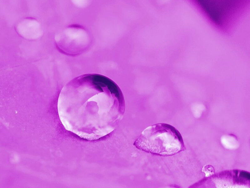 水质总氮检测仪使用注意事项