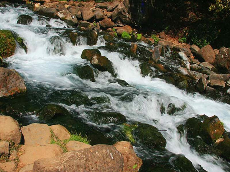 智能红外测油仪使用误区