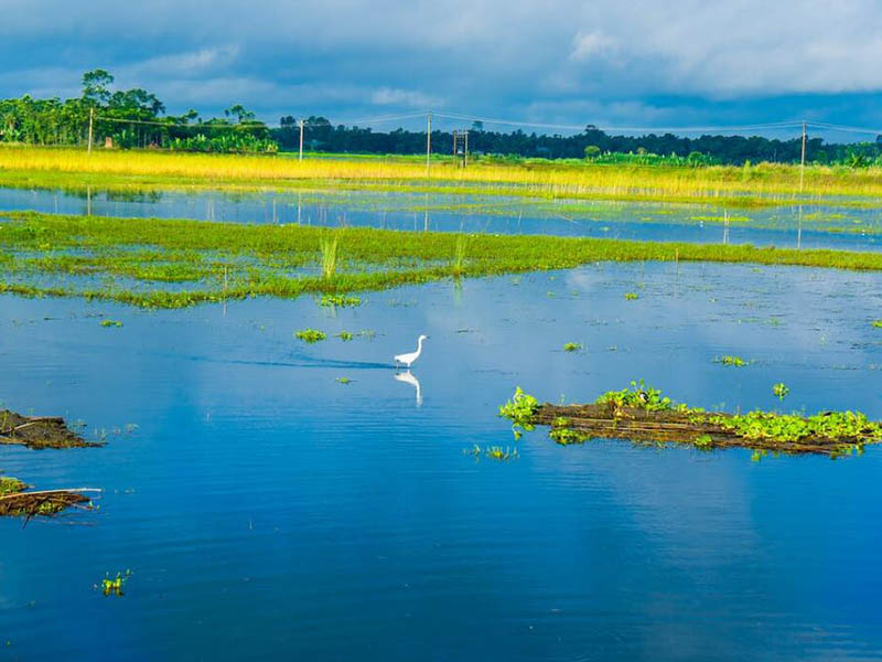 江西省鄱阳湖流域总磷污染防治办法