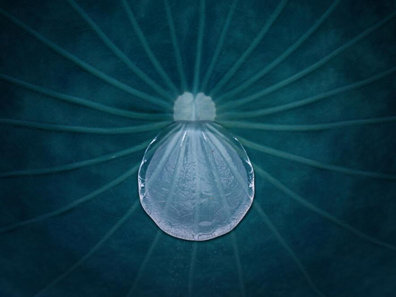 饮用水高氯酸盐检测标准值