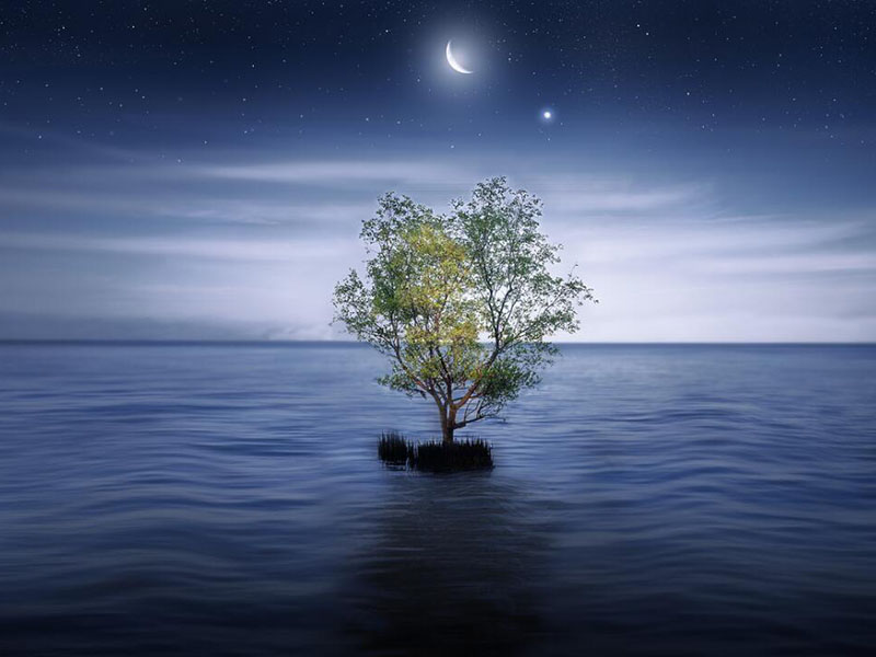 水质重金属砷检测标准