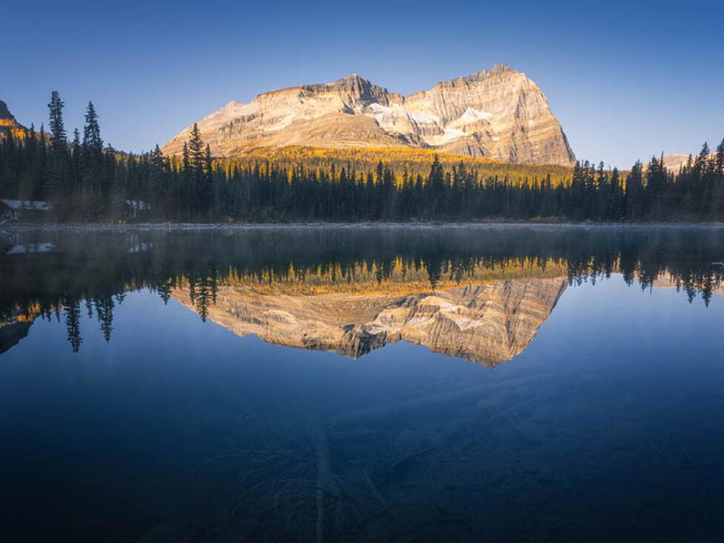 红外测油仪如何维护保养