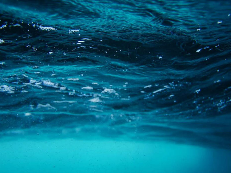 入海河流总氮超标原因