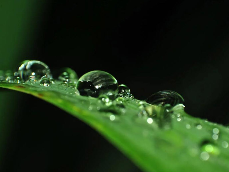 水质检测包括哪些水体