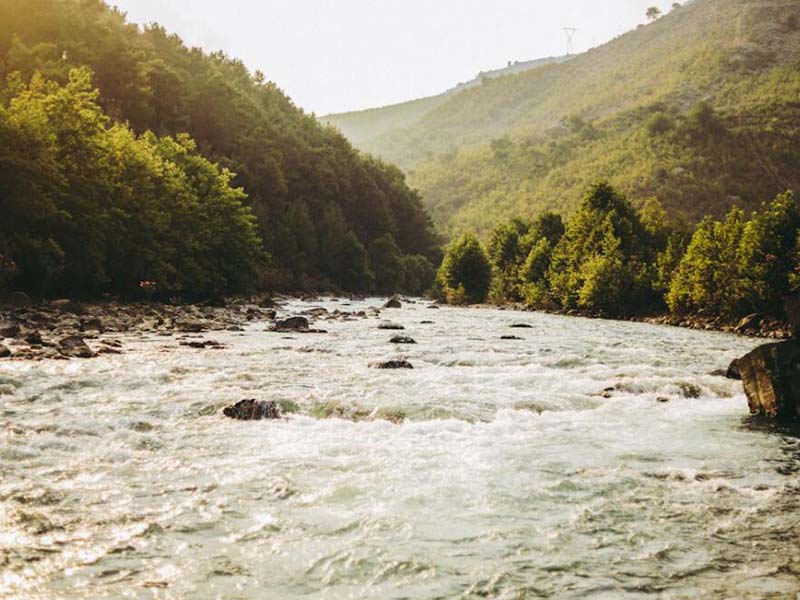 手持式COD检测仪价格