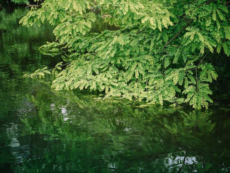 氨氮在线监测仪多少钱一台