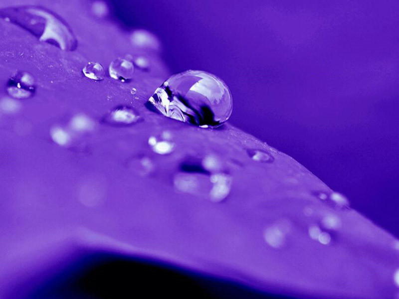 在线溶解氧分析仪使用方法