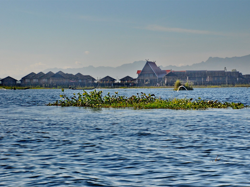 麦氏细菌浊度分析仪操作规程