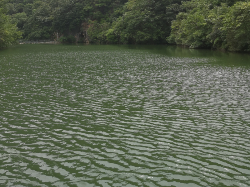 总磷分析仪测量原理