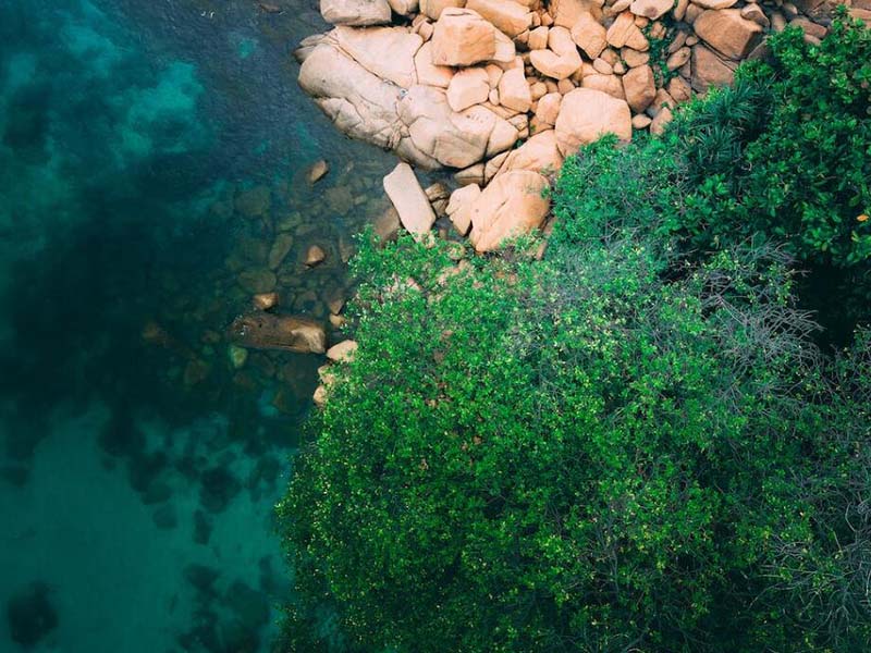 水中油检测水样采集方法