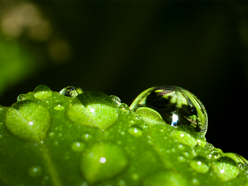 余氯和总氯的区别